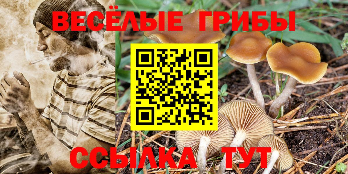 Галлюциногенные грибы Cubensis Петрозаводск