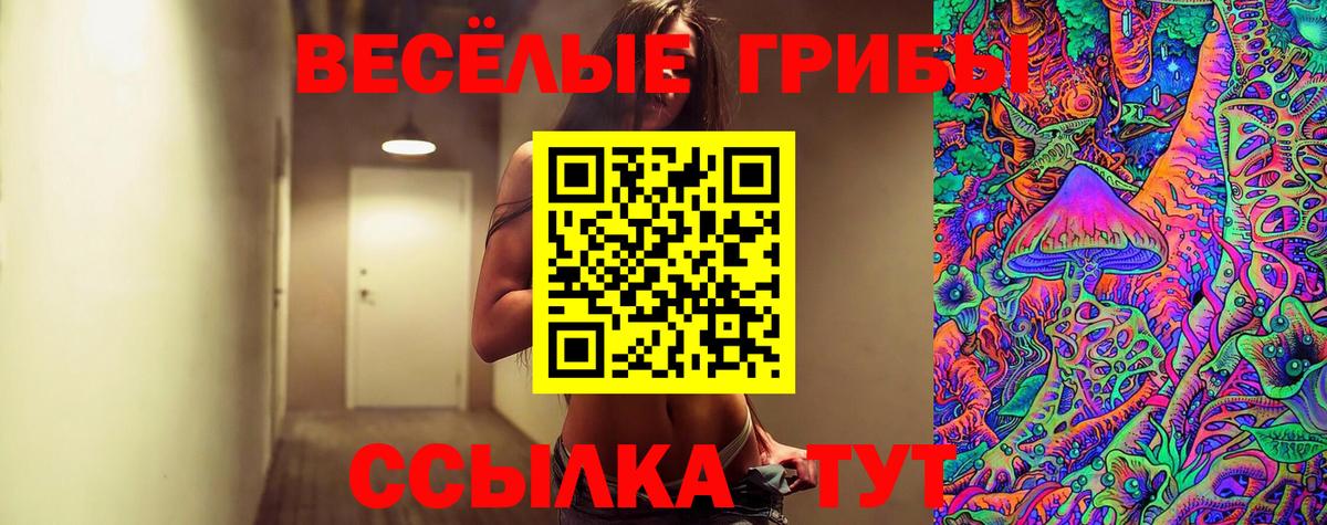 Галлюциногенные грибы мухоморы  Вход с VPN  наркошоп  Петрозаводск 